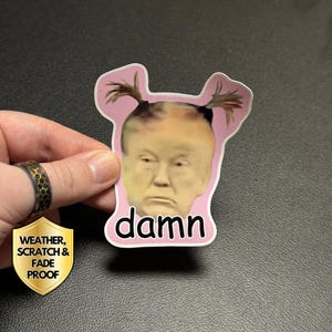 Adesivo divertente con il bambino Donald Trump, adesivo con meme di satira politica di Trump, adesivi con scherzi anti-Trump, accidenti o sono rispettato