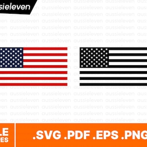 Bandiera Americana Personalizzabile Video Gratuito Di 4 Luglio, Americano, Artista Emergente, Artistico Marmitta Liberty 50 - Foto 13