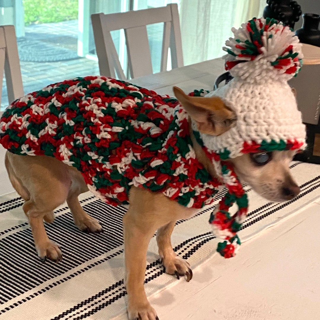 Dog Sweater Hat Set, Male Christmas Small Crochet Dog, Chihuahua
