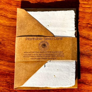 Tarjetas ecológicas para plantar con semillas de flores silvestres: material 100 % reciclado