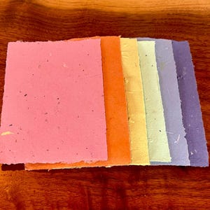 Carta piantabile - 4" x 6" realizzata in carta riciclata - Set di 6 cartoline multicolori