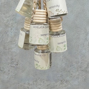 Car Air Freshener- Luxury Perfume Inspired  Scents- Car Diffuser- Hanging Air Freshener -Car Accessories - Car Freshie- Pick Your Scent