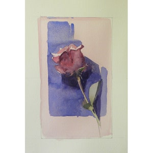 Pink Rose