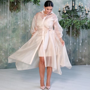 organza overlay dress Long Sleeve Collared Ankle Length Midi In Black, Black / Regular / 4 effortless reception look Mare Long-Sleeve Organza Overlay Mini
