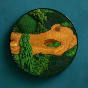 Round Moss Wall Art: Live Edge Wood & Preserved Greenery