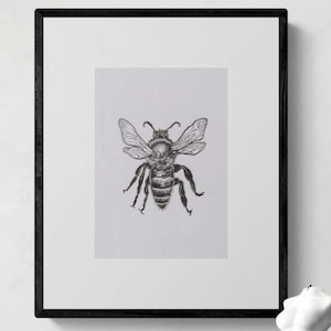 Stampa artistica di insetti e api / Belle arti fatte a mano / Arte della fauna selvatica / Decorazione murale / Arte naturalistica / Arte animale / Regalo unico / Arte su carta / Arte naturalistica