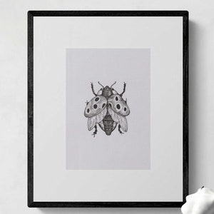 Stampa artistica di coccinella nsect / Belle arti fatte a mano / Arte della fauna selvatica / Decorazione murale / Arte della natura / Arte degli animali / Regalo unico / Arte della carta / Arte bio