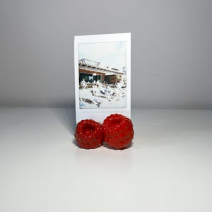 Raspberries: Handmade Clay Photo Holder