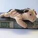 Derby Ty Beanie Baby Pony Brown Horse 1995 He Never Wore His Saddle and Left The Stables To Be With You Soft Stuffed Animal Plush Figure