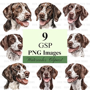 May include: Nine watercolor illustrations of German Shorthaired Pointers, each with a different pose and expression. The dogs are all brown and white with black noses and eyes. The illustrations are set against a white background.