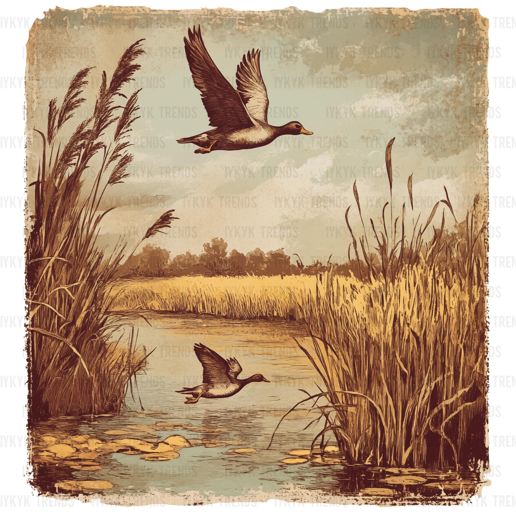 Antique Duck Png | Duck Png | Mallard Png | Duck Hunting Png | Retro ...