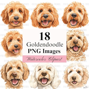 Lot de cliparts aquarelle Goldendoodle | Golden doodle Portrait dessiné à la main en téléchargement numérique | Doodle cadeau pour maman PNG | Conception de chemise pour amoureux des chiens