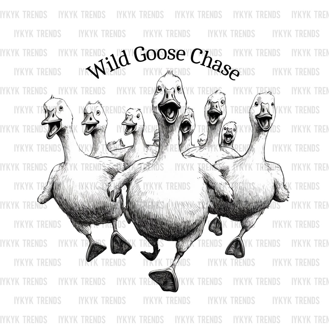 Wild Goose Chase PNG | Trendy Goose Png | Silly Goose Png | Quirky Png ...