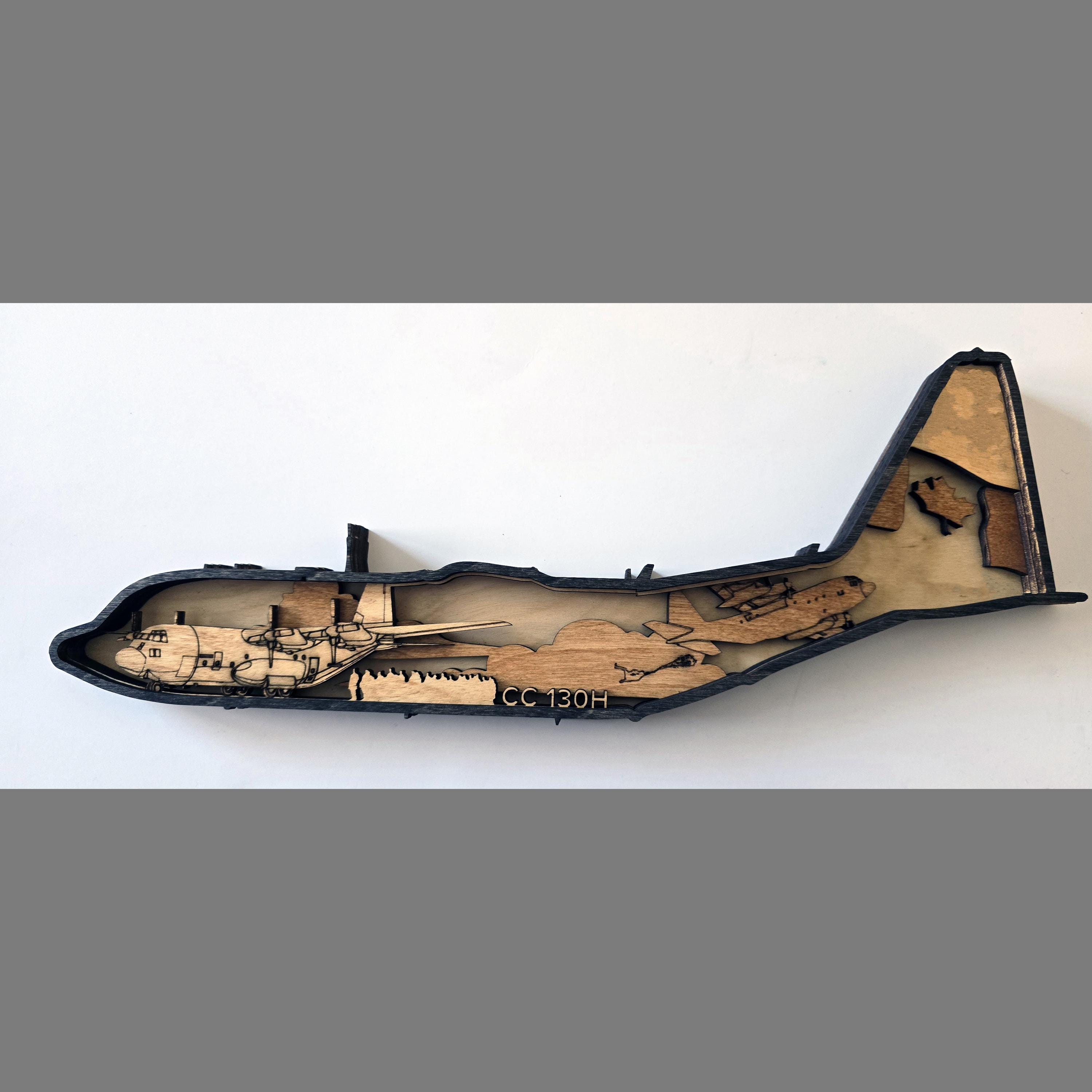 La Fuerza Aérea Argentina recibió un C-130 Hercules de FAdeA