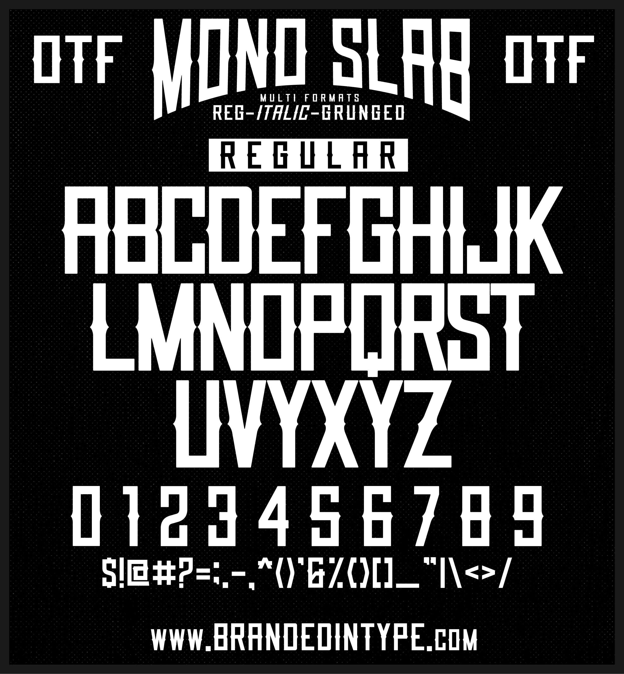 Typeface Kit Vintage Mono Slab Font & Badge Kit: Modern Branding Typeface for Cricut ...