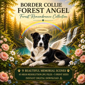 Border Collie Gedenkbild-Set, Regenbogenbrücken-Gedenkbild für Hunde, Geschenk bei Tierverlust, Engel-Wandbild mit Hund, Druckbare Erinnerungsstücke für Haustiere