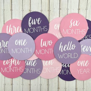 K&ouml;nnte beinhalten: Eine Sammlung runder Meilensteinkarten f&uuml;r Babys in Rosa-, Lila- und Lavendelt&ouml;nen. Jede Scheibe tr&auml;gt wei&szlig;en Text mit Angaben zu Monaten, Wochen oder "Hallo Welt". Die Karten sind auf einer hellen Holzmaserung angeordnet.