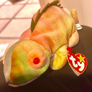 ULTRA RARE  IGGY Beanie Baby with Rainbow fabric error 1997 Retired Mint