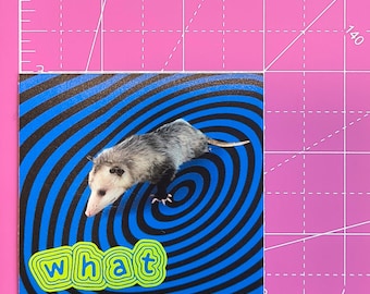 Vinyl Possum Sticker