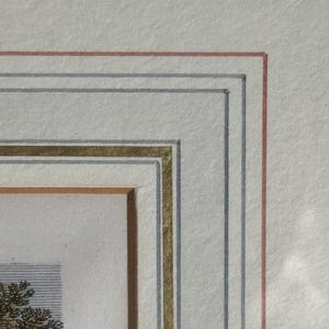 May include: Close-up of a framed artwork with a detailed border. The frame features a gold inner border, with gray and red lines. The artwork itself is a detailed illustration with a tree and horizontal lines.