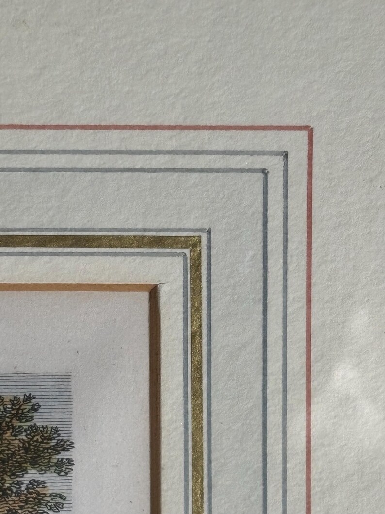 May include: Close-up of a framed artwork with a detailed border. The frame features a gold inner border, with gray and red lines. The artwork itself is a detailed illustration with a tree and horizontal lines.