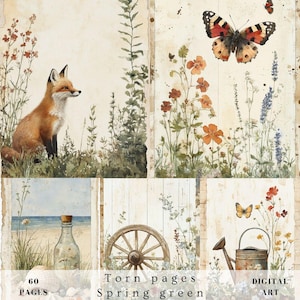 Pagine strappate, verde primavera, vintage, scrapbooking, diario spazzatura, arte murale, cottage retrò, campagna, animali, paesaggio, floreale, carta botanica