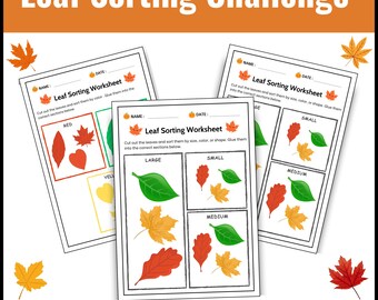 Puede incluir: Tres páginas imprimibles de "Leaf Sorting Worksheet" con ilustraciones de hojas coloridas para actividades educativas. Las hojas de trabajo incluyen secciones para clasificar las hojas por color, tamaño y forma. El título "Leaf Sorting Challenge" está en la parte superior.