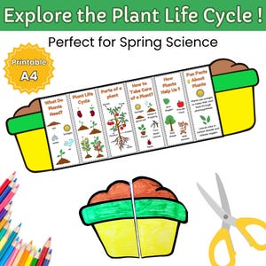 Mini Plant Growth Booklet- Foldable Activity for Kids - Earth Day Activity- Spring Crafts - Homeschooling and Classroom