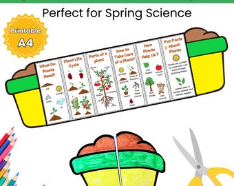 Mini Plant Growth Booklet- Foldable Activity for Kids - Earth Day Activity- Spring Crafts