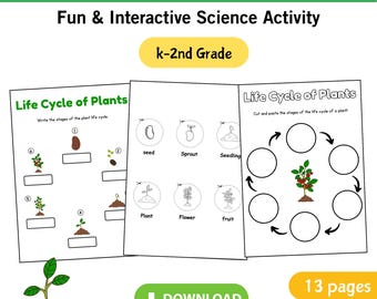 Werkbladen voor de levenscyclus van planten voor kinderen – Afdrukbare educatieve activiteiten voor kinderen in het basis- en voortgezet onderwijs