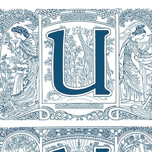 Letras manuscritas iluminadas Ilustraciones clásicas Iniciales decoradas Letras de guión Alfabeto ilustrado vintage Página para colorear para adultos