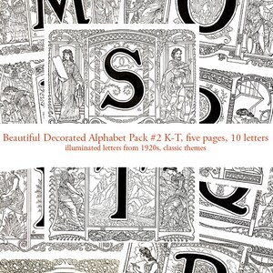 Letras manuscritas iluminadas Ilustraciones clásicas Iniciales decoradas Letras de guión Década de 1920 Monogramas de letras del alfabeto ilustrado vintage
