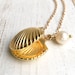 Gold Shell Locket Necklace Seashell Necklace Freshwater Pearl Necklace ...