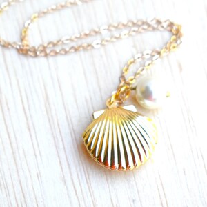 Gold Shell Locket Necklace Seashell Necklace Freshwater Pearl Necklace ...