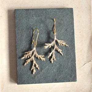Gold Cedar Branch Earrings Tree Forest Woodland Juniper Cypress Branch