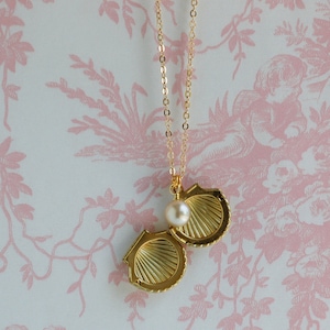 Gold Shell Locket Necklace Seashell Necklace Freshwater Pearl Necklace ...