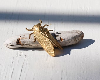 Puede incluir: Un broche de insecto de cigarra de color dorado, descansando sobre un trozo de madera a la deriva.