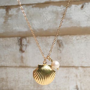 Gold Shell Locket Necklace Seashell Necklace Freshwater Pearl Necklace ...