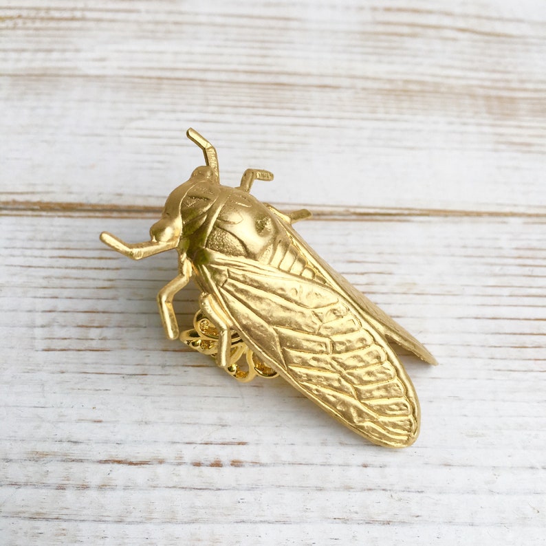 May include: A gold-colored cicada brooch. The insect pin features detailed wings and body, with a pin clasp on the back. The brooch is made of metal and is set against a white and light brown wooden background.