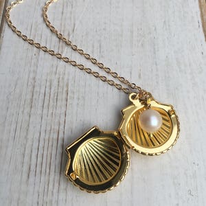 Gold Shell Locket Necklace Seashell Necklace Freshwater Pearl Necklace ...
