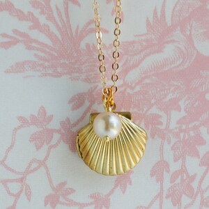 Gold Shell Locket Necklace Seashell Necklace Freshwater Pearl Necklace ...