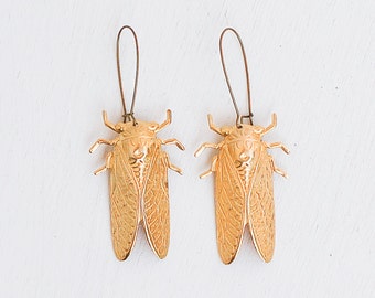 Grote Gouden Kever Oorbellen Cicada Sieraden Scarabee Oorbellen Natuurstudie Victoriaanse Cicade Insect Entomoloog Zomer Bug