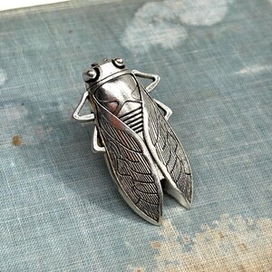 May include: A silver-toned cicada brooch with detailed wing and body patterns. The insect-shaped pin is made of metal and has a textured surface. The brooch is a decorative accessory.