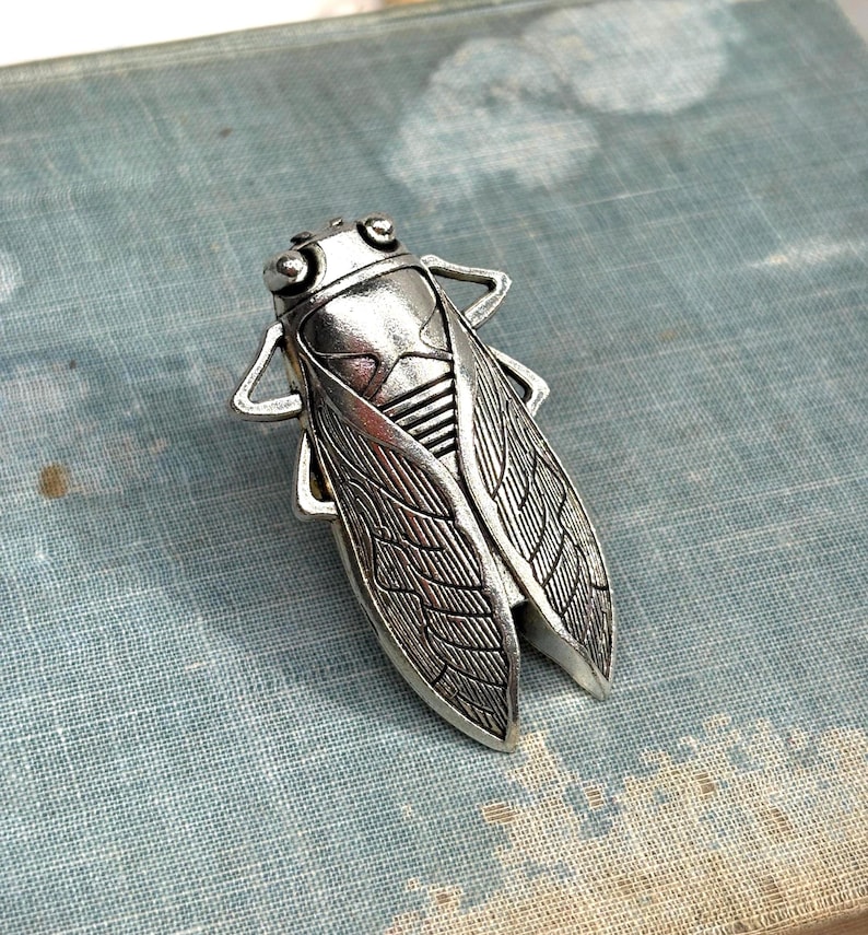 May include: A silver-toned cicada brooch with detailed wing and body patterns. The insect-shaped pin is made of metal and has a textured surface. The brooch is a decorative accessory.