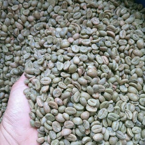 Pode incluir: Uma foto em close-up de uma pilha de grãos de café verdes e crus. Os grãos são ovais e de cor verde clara. Uma mão segura uma porção dos grãos, mostrando a textura e o tamanho dos grãos de café.