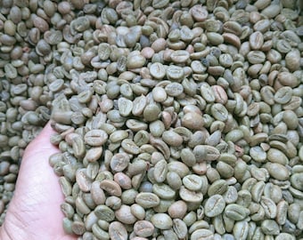 Könnte beinhalten: Nahaufnahme eines Haufens roher, grüner Kaffeebohnen. Die Bohnen sind oval und hellgrün. Eine Hand hält einen Teil der Bohnen und zeigt die Textur und Größe der Kaffeebohnen.