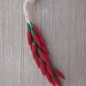 May include: A bunch of red and green chili peppers tied together with white twine.