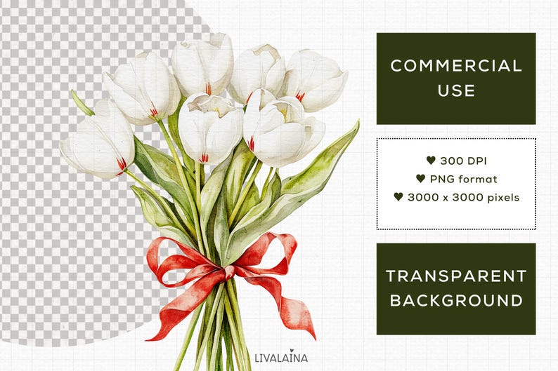 Spring Cottagecore Akvarell Clipart Barnrumsdekor PNG Kommersiellt bruk | Söta djur Jordgubbsblommor Rustikt Bondgård Röda Ginghamprickar bild 2