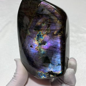 May include: A polished labradorite stone featuring a dark grey base with prominent iridescent flashes of deep purple, vibrant blue, and golden yellow. The surface displays natural internal fractures and crystalline layers throughout the mineral.