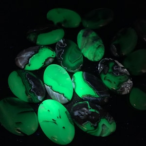 Vulkanisk agatpalmsten, UV-reaktiv kristall, fluorescerande agat; visad under 365 nm UV-ljus.